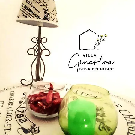 Ginestra 3*
