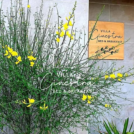 Guest house Ginestra *