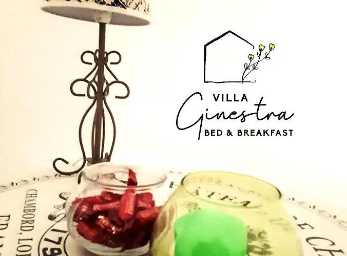 Ginestra 3*