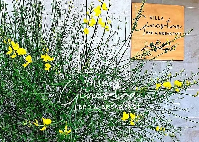 Guest house Ginestra 3*